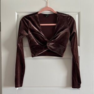 Elegant Velvet Long Sleeve Top - Brown